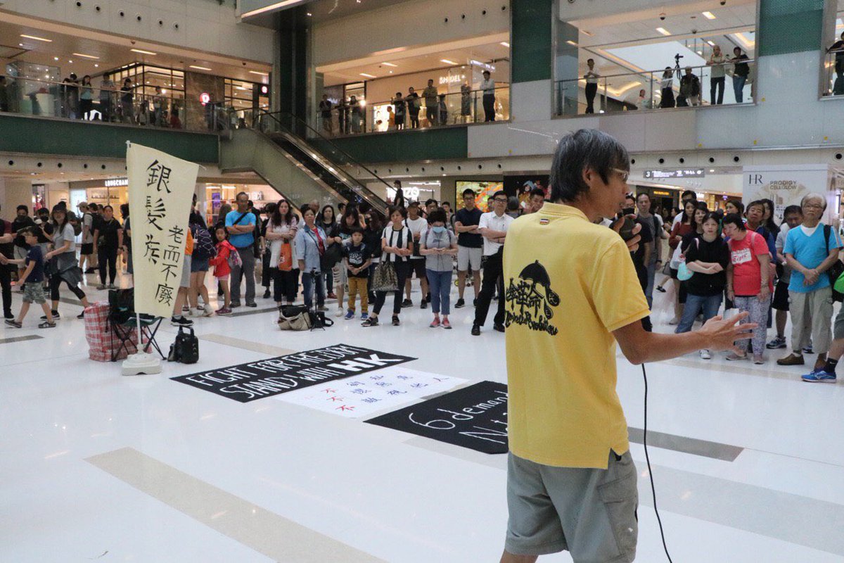 Protesters rallied in a family-friendly event at Shatin's New Town Plaza on Saturday afternoon, to call for a boycott of pro-Beijing businesses and restaurants. Photo: InMedia. 